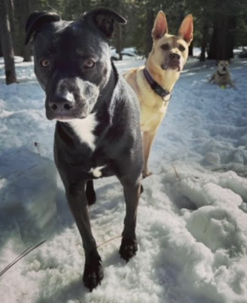 z3nPupClubs89 Help Center home page